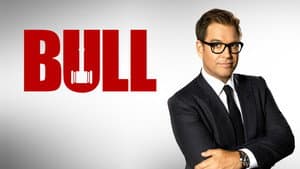 Bull — foto 11