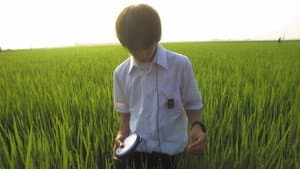 リリイ・シュシュのすべて — foto 7