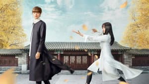 淑女飘飘拳 — foto 1