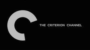 Criterion Collection: 1000 Spines — foto 2