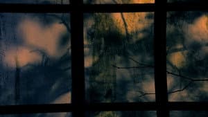 Twilight — foto 1