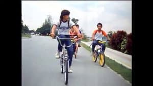 Roda-roda — foto 1