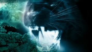 Night Creature — foto 2