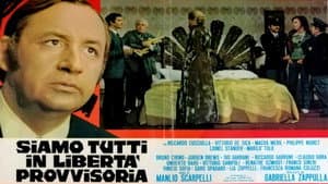 Siamo tutti in libertà provvisoria — foto 1