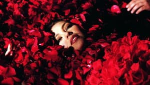 Rosalinda — foto 5