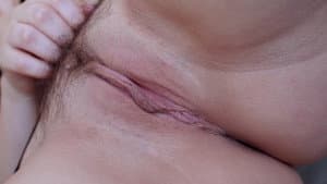 Pure Bush — foto 10