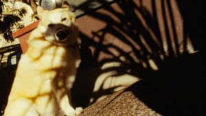 The Return — foto 5