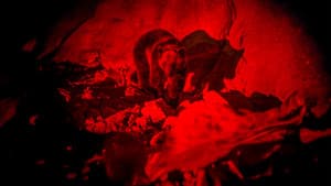 Savage Hunt — foto 5