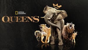 Reinas del mundo animal — foto 9
