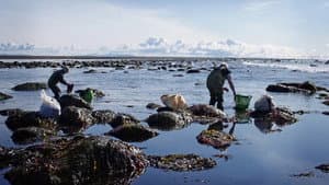 Gósenlandið - íslensk matarhefð og matarsaga — foto 1