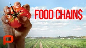 Food Chains — foto 1