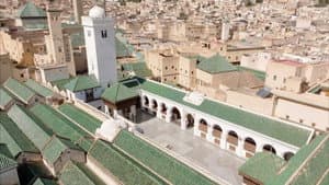 Les trésors oubliés de la médecine arabe — foto 3