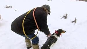 Episodio 8