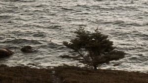 The Brym — foto 3