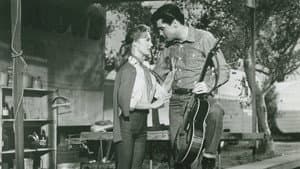 Roustabout — foto 6