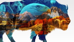 Maravillas de los Estados Unidos — foto 1