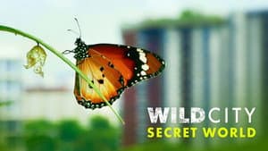 Wild City — foto 3