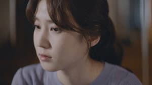 오늘의 탐정 — foto 12