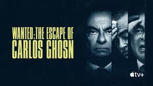 El escape de Carlos Ghosn — foto 8
