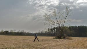 Son of the Sunshine — foto 1