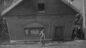 Steamboat Bill, Jr. — foto 1