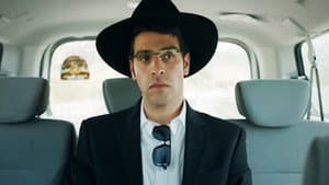 שבאבניקים — foto 8