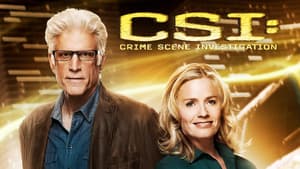 CSI: Las Vegas — foto 12