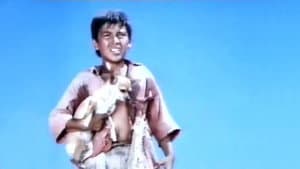Pablo and the Dancing Chihuahua — foto 2
