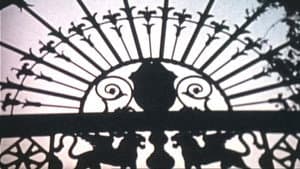 Psyche — foto 9