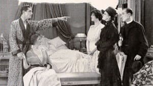 The Misleading Widow — foto 1