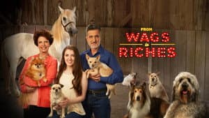 From Wags to Riches With Bill Berloni — foto 3