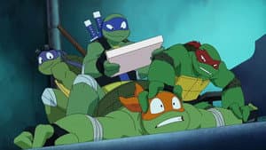 Turtles Take Time (and Space) — foto 1
