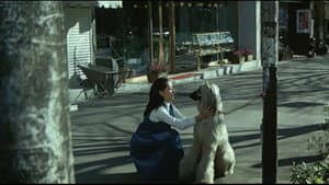 十代　－恵子の場合－ — foto 4