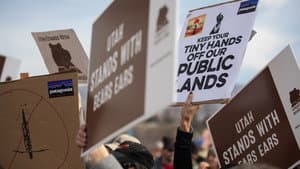 Public Trust — foto 4