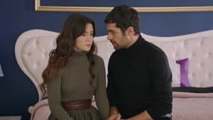 Episodio 74