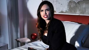 The Lady — foto 1