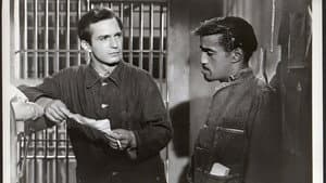 Convicts 4 — foto 4