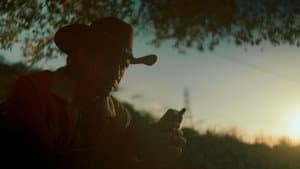 Agaves al alba — foto 10