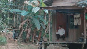 Seroja — foto 1
