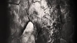 An Excavation of Us — foto 1