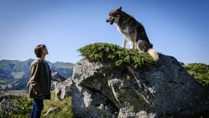 Mort d'un berger — foto 1