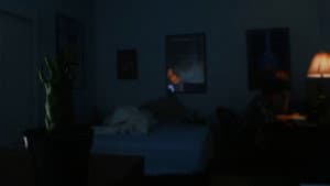 The Cactus — foto 3