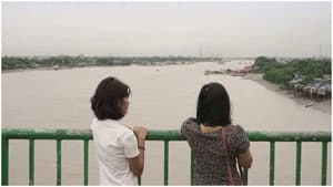 သစ်သီးခူး — foto 1