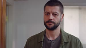 Episodio 14