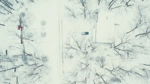 Dead of Winter — foto 1
