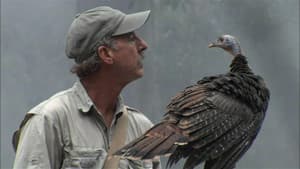 My Life as a Turkey — foto 1