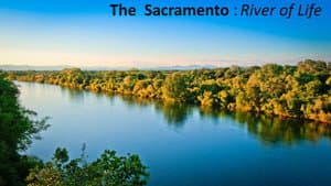 The Sacramento River of Life — foto 1