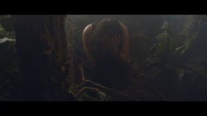 Anton — foto 1