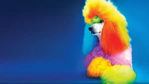 Well Groomed — foto 2