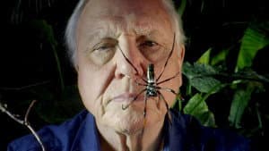 Micro Monsters with David Attenborough — foto 12